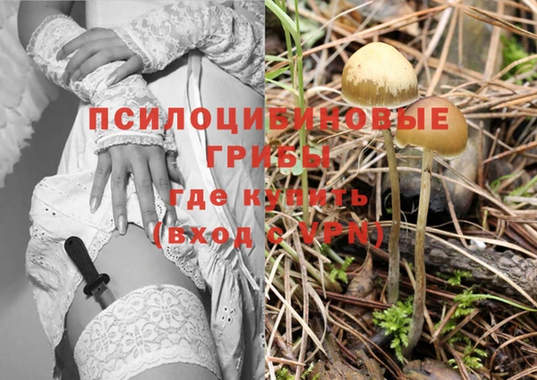 дурь Дмитров
