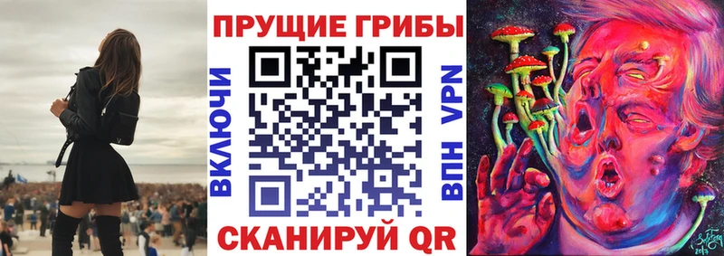 Псилоцибиновые грибы мицелий  Купить закладки  Дмитриев 