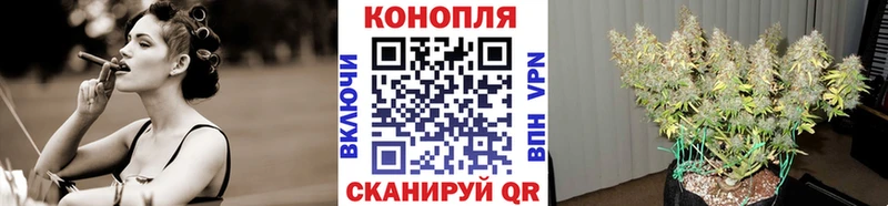 Шишки марихуана LSD WEED  Купить закладки  Дмитриев 